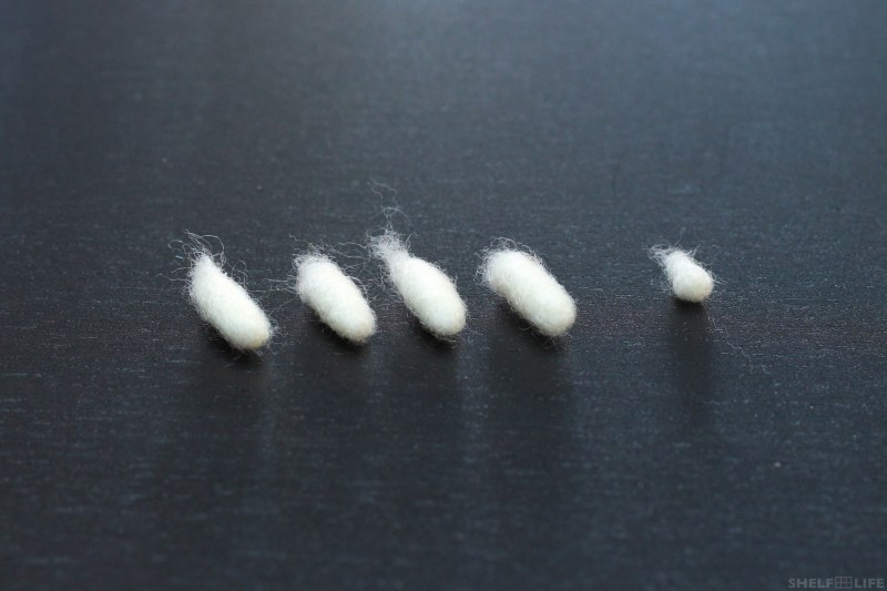 Poro Project - Poro Limbs