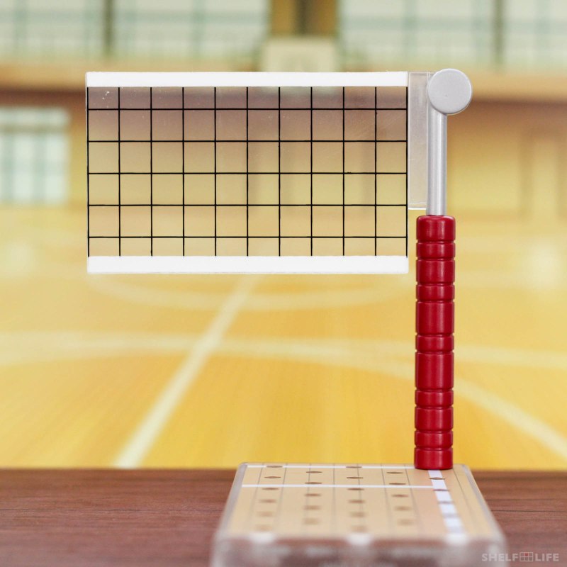 Nendoroid Hinata Shoyo - Net